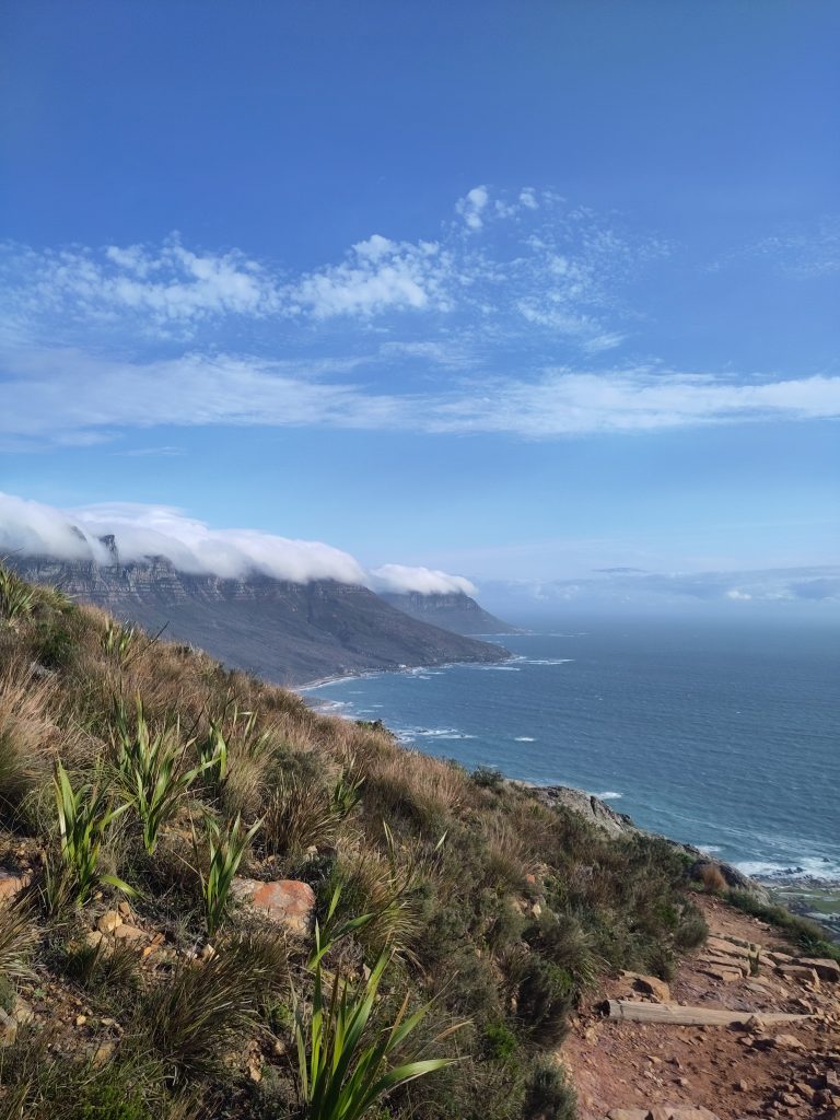 Read more about the article Vom Kap-Kelp & anderen südafrikanischen Lebensformen