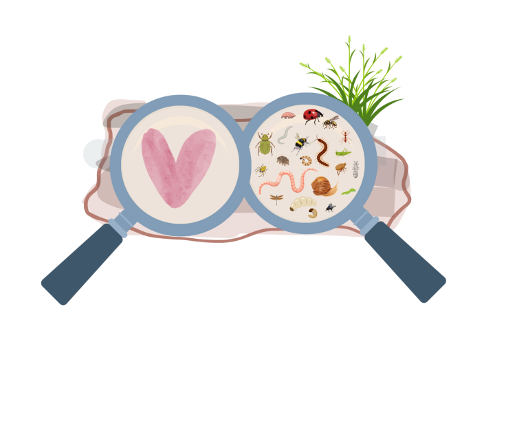 Read more about the article Boden lebt – über Gefühle und Gedanken bei der Feldarbeit