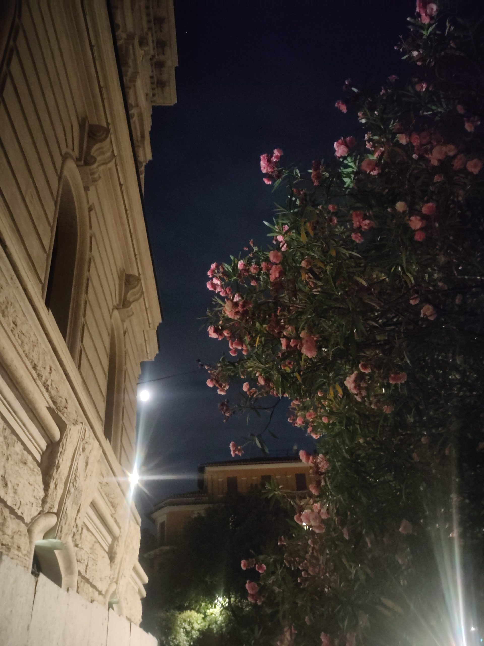 Read more about the article Emotional science in the eternal(ly loved) city